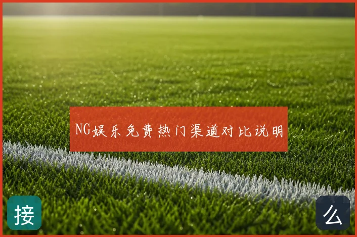 NG娱乐免费热门渠道对比说明