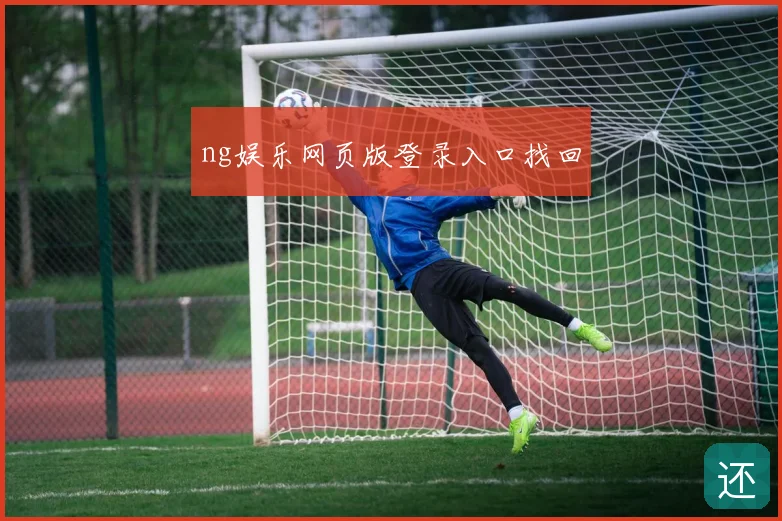 ng娱乐网页版登录入口找回
